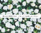 シンプル&可愛い！結婚式OPムービーお作りします 写真を数枚送るだけ！超簡単にスピーディにムービーが作れます。 イメージ8