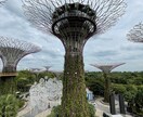 シンガポールのお店•レストラン等を現地調査します シンガポールに行く前の不安を解消します！ イメージ4