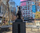 ペットの飼育相談します ペットシッター歴20年の経験を生かしたペットの飼育相談 イメージ1