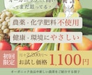 修正無制限！パッと一目で伝わるWEB画像作ります 女性向け、ファミリー向けのデザインをお探しの方へ イメージ6