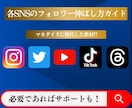 各種SNSの効果的なフォロワー増やし方教えます ✅SNS初心者大歓迎❗️最終的にはマネタイズも視野に入れよう イメージ1