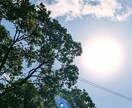 貴方の生まれ持った本質と才能を思い出していきます 自分のトリセツ作りませんか。ワクワクな日々が待っています♪ イメージ3