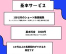 capcut使用したをショート動画編集をします SNS向けなどのショート動画を編集いたします！ イメージ2