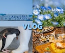 思わず眺めたくなるVlogのサムネイルを作成します シンプル・おしゃれ・Vlog向けのサムネイルを制作します。 イメージ5