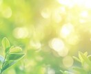 願いを叶える☘️幸運を運ぶ 座敷童子を派遣します 願いは霊的存在にまかせるとスルスル叶います♡幸せ お金 健康 イメージ5