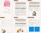 プロ視点でインスタグラムのアカウント診断いたします 圧巻の10ページ以上レポートをディナー分のお値段でゲット！ イメージ2