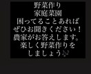 野菜作りに関することなんでも教えます 家庭菜園などの事なんでもお聞きください イメージ1