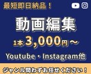 デザイナーが編集！鮮やかでモダンな動画に編集します 元動画を活かし、色彩鮮やかな編集をします！ イメージ1