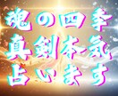 魂季節リーディング｜いまの魂の季節を読み解きます あなたの魂は、いまどの“季節”を生きていますか？ イメージ3