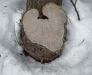 お相手のあなたへのお気持ちをリーディングします (気になる人がいる、カップル、ご夫婦向け) イメージ1