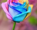 24時間チャット♡恋愛、結婚、相談のります 些細な事でもお話し聞かせてくださいね♪ イメージ1