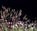 眠れない夜★☆眠くなるまでとことんお付き合いします 今日もお疲れさま♡気分転換　雑談　傾聴　お休みコール　膝枕 イメージ7