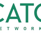 Cato Cloud導入・移行を支援致します 設計・構築・障害切り分け・技術支援まで幅広く対応 イメージ1