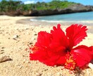 関西地方で写真撮影代行します 枚数無制限！出張撮影・写真撮影・質問お気軽に☆ イメージ4