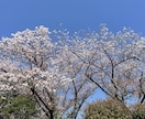 特別な方に追われるあなたに☆親身にアドバイスします 複雑系様専用⭐︎縁切りと縁結びを同時施術いたします イメージ5
