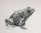 生き物・自然・その他をリアルイラストで描きます 長年出版業界に携わっているプロイラストレーターが制作致します イメージ9