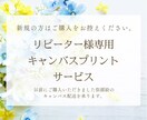 リピーター様専用のご案内になります 新規の方はご購入をお控えください イメージ1