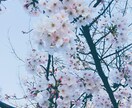 インナーのお悩みにお答えします 性別問わずインナー全般(ブラ等)のご相談伺います！ イメージ1