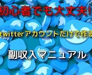 経験不問!!ツイッターを利用した堅実な副業教えます 難しいことは極力排除!!実践しさえすれば結果が出せます。 イメージ1