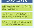 貴方のブログに合わせた最適なSEO施策を提案します ビデオチャットで実際のブログを見ながら解説していきます！ イメージ3