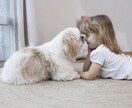 ペットコンサル(お悩みでも愚痴も…お聞き致し)ます ペットの行動・個性に合った方法で、豊かなくらしを…。 イメージ6
