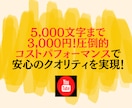 Youtube売れる台本最短即日プロが作ります マーケターが”バズる構成”を完全サポート！修正５回無料！ イメージ6