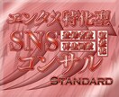 エンタメ特化型SNS運用のHow-to教えます ✅ココナラ初出品記念につき先着3名様限定30%OFF！✅ イメージ1