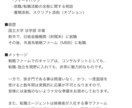 ケース面接対策を行います 2万字（27ページ）分の対策バイブルも／サンプルは商品画像に イメージ2
