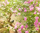 誰かと少し話したいとき、3分からでもお話聞きます どんなに軽い事でも大丈夫です！友達感覚でどうぞ イメージ1