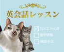 TOEIC950純ジャパが英会話の練習お相手します 英会話練習したいけど、いきなりネイティブは不安な方に最適です イメージ1