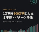 1万円を500万円にした手法教えます 専業になるための資金をコレで作りました イメージ1