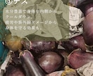 長期で堅実・誠実にインスタ運用代行します ブランドイメージを大切に慎重に運用したい企業様・個人様向き！ イメージ3