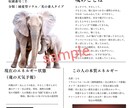 The Soul Book──魂の記憶をひらきます 占いでは届かない、魂の記憶を言葉にします イメージ4