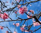 辛いね無理しないで！５分だけ話そう！そばにいます 胸の重さはそう簡単には取れない。少しでも話せば小さくできる。 イメージ1