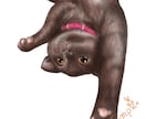 ペットちゃん限定イラスト作成します 大好きなあの瞬間をイラストで残しませんか？ イメージ6