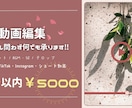 ご希望に沿った動画を迅速丁寧に編集いたします 修正は何度でも無料！必ず納得のいく動画に仕上げます！ イメージ1