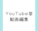 12月まで特別価格！安価に動画編集いたします 実績募集のため、安価に動画編集を任せてください！ イメージ1