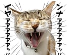 猫や犬、カワイイうちの子LINEスタンプつくります かわいいペットの写真でLINEスタンプをつくりませんか？ イメージ6
