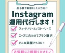 低予算集客！Instagram運用代行します ニーズに合わせた初めてのInstagram運用代行します。 イメージ1