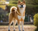 子どもたちが喜ぶ画像を提供致します カッコいいロゴや、かわいいキャラクター作成など得意です イメージ3