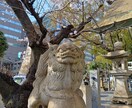 あなたの今成すべき事を占います オラクル10で毎日を向上させるお手伝い！ イメージ1