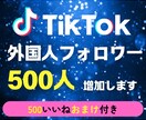 TikTokフォロワー500人増やします ＋いいね500おまけ付き★大口割引あり イメージ1