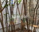 暮らしに映えるCanvaテンプレートを作成します SNS投稿をナチュラルでおしゃれに整えたい方へ イメージ4
