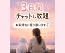 愛犬との限られた時間に寄り添います 残された大切な時間のお気持ちに寄り添います イメージ5