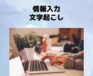 PDFやサイトからのデータ入力をやります データ入力や文字起こし、お任せください! イメージ1