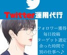 時間が無いあなたにTwitter運用代行します 1ヶ月＊Twitter運用代行・SNS運用代行・SNS宣伝 イメージ1