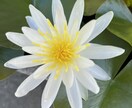 心のモヤモヤ（恋愛／親／子育て／義親等）を聞きます モヤモヤ溜め込んでませんか？爆発する前に吐き出しましょう！ イメージ3