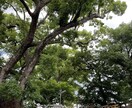 心の悩み何でもお聞きます とことんお話しお聞きします❤️ イメージ1