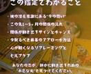 連絡が途絶えた彼、今の本音と片思いの行方を占います 不安から安心へ。この片思いの航路を照らすタロットリーディング イメージ4