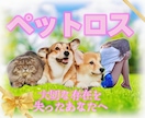 ペットロス大切な家族を亡くした悲しみを共に抱えます ペットロス/喪失感/犬/猫/動物/家族/ペット/別れ/死 イメージ1